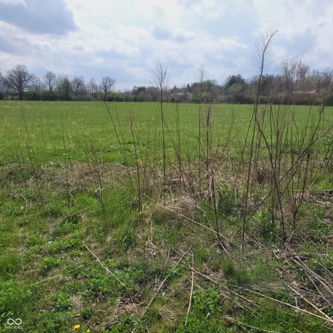 Yard at 7960 W 800 N, Fairland, IN