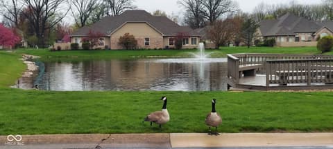 View — 7705 Briarstone Drive, Indianapolis, IN