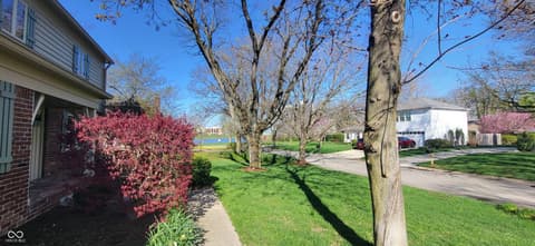 Yard at 3235 Citadel Court, Indianapolis, IN