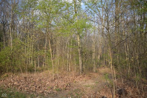 View — 5275 Wilbur Road, Martinsville, IN