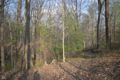 View — 5275 Wilbur Road, Martinsville, IN