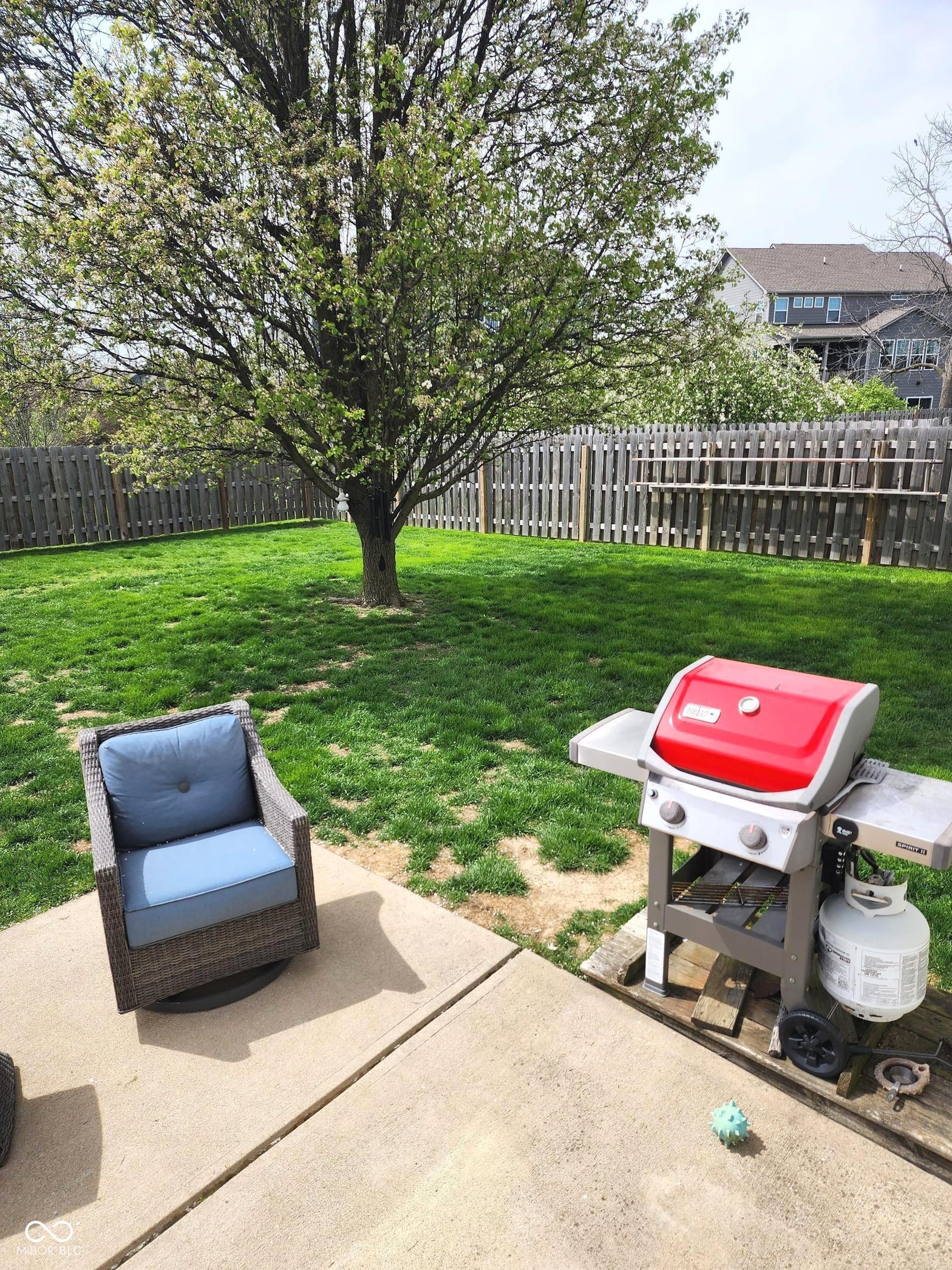 Yard