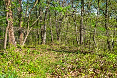 Photo of 2991 State Road 135 N, Nashville, IN