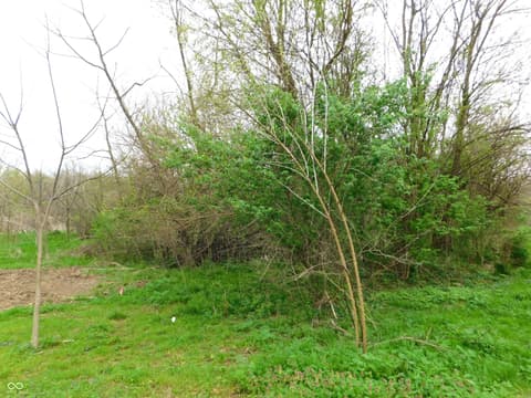 Photo of 2311 N Co Rd 450 W, Greensburg, IN