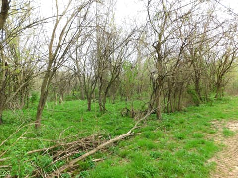 Photo of 2311 N Co Rd 450 W, Greensburg, IN