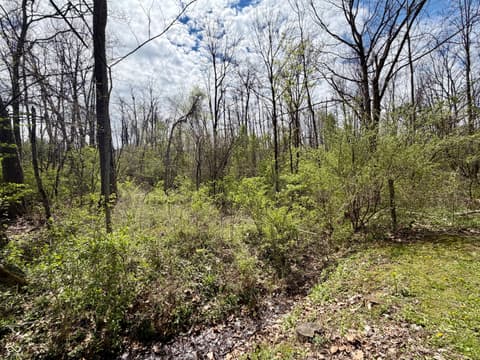 Photo of 690 Kirkwood Drive, Greencastle, IN