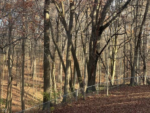 Photo of 8650 Fall Creek Road, Indianapolis, IN