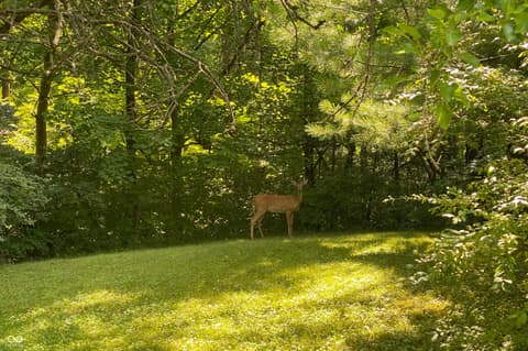 Photo of 8650 Fall Creek Road, Indianapolis, IN
