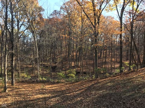 Photo of 8650 Fall Creek Road, Indianapolis, IN