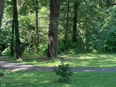 Photo of 8650 Fall Creek Road, Indianapolis, IN