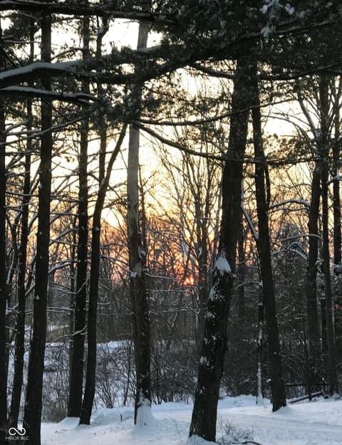 Photo of 8650 Fall Creek Road, Indianapolis, IN