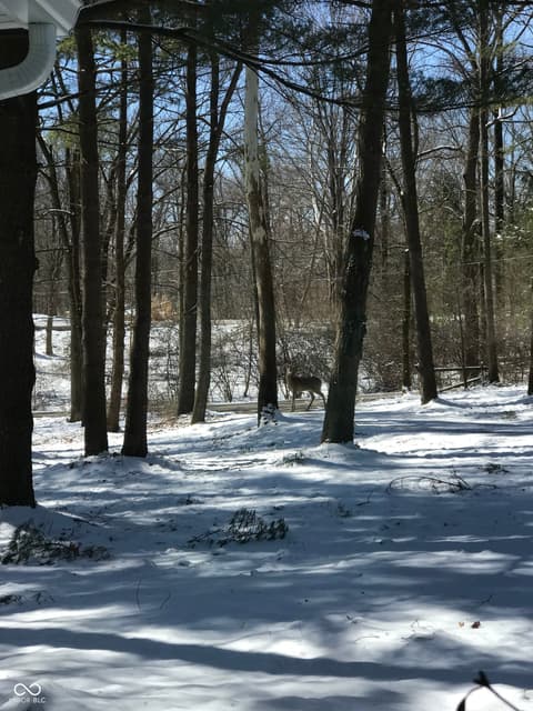 Photo of 8650 Fall Creek Road, Indianapolis, IN