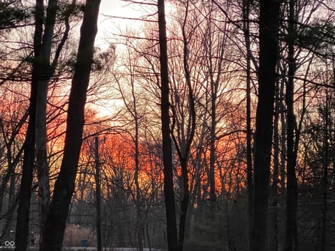 Photo of 8650 Fall Creek Road, Indianapolis, IN