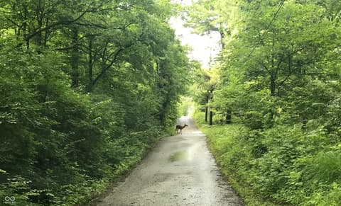 Photo of 8650 Fall Creek Road, Indianapolis, IN