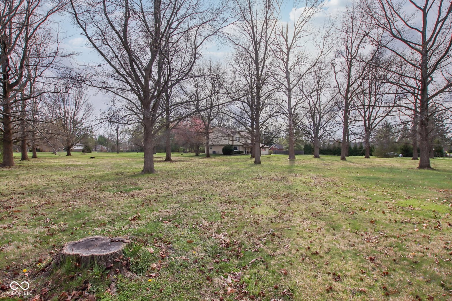 Expansive wooded lot with mature oak trees and open grounds.