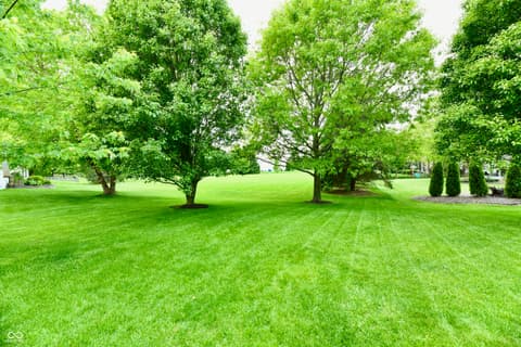 Yard at 13472 Lorenzo Boulevard, Carmel, IN