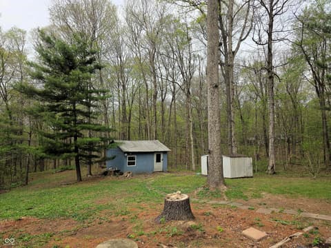 Yard at 8310 N Dog Trot Lane, Morgantown, IN
