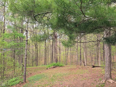 View — 8310 N Dog Trot Lane, Morgantown, IN