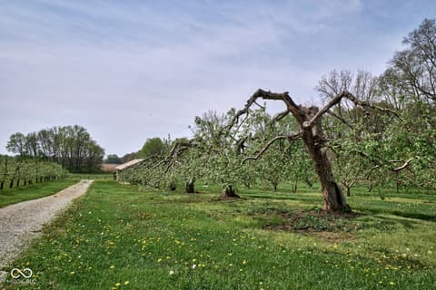 Photo of 5054 N Us Route 31, Peru, IN