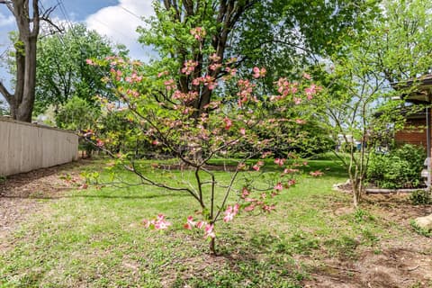 Yard at 7010 Grosvenor Place, Indianapolis, IN