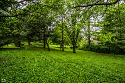 Yard at 6907 E County Road 825 S, Mooresville, IN