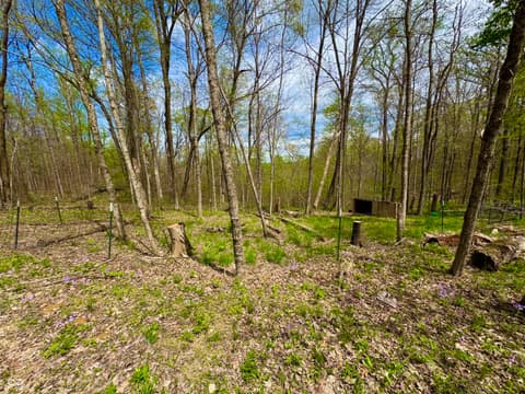 Photo of 3300 Carmel Ridge Lane, Morgantown, IN