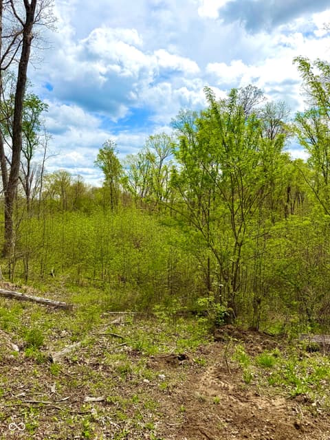 Photo of 3300 Carmel Ridge Lane, Morgantown, IN