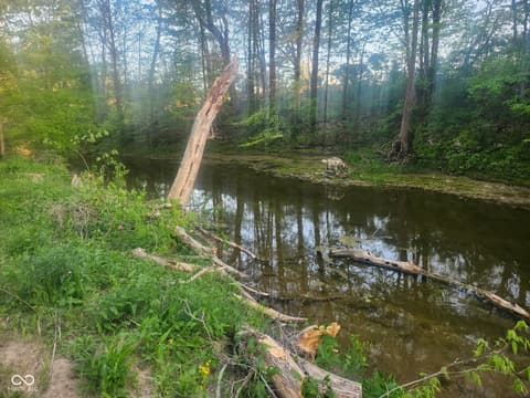 Photo of 9645 N County Road 75 W, Westport, IN