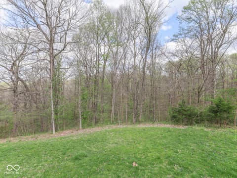 Yard at 7005 N Briarhopper Road, Monrovia, IN