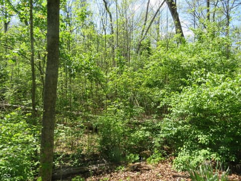 Photo of 3318 Timberbrook Court, Danville, IN