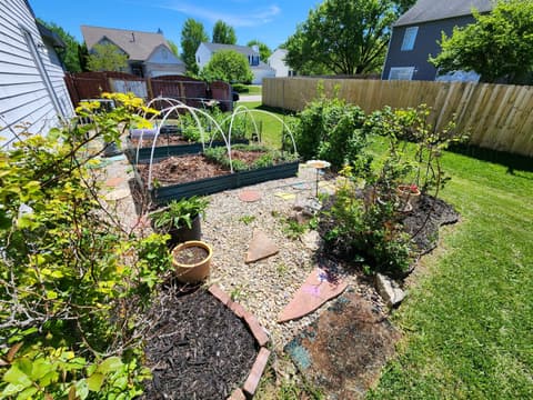 Photo of 6136 Sandcherry Drive, Indianapolis, IN