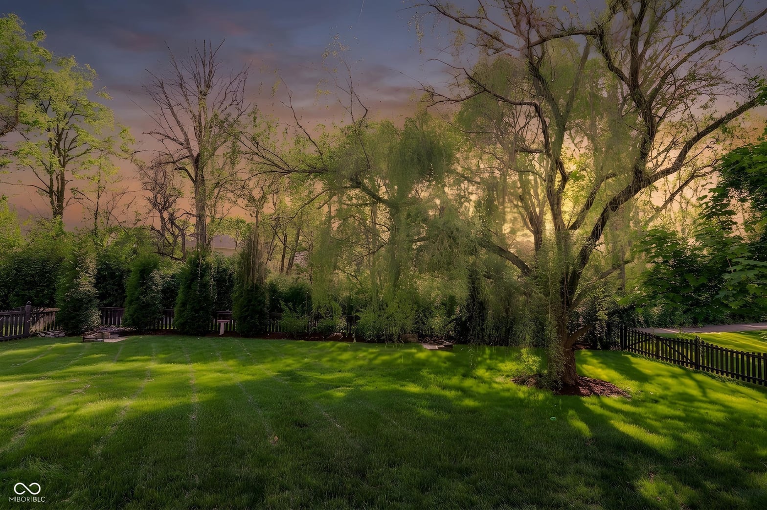 Yard