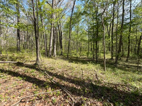 Photo of 4115 E Olive Branch Road, Bloomfield, IN