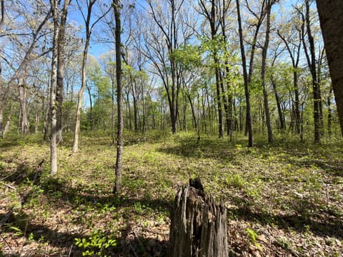 Photo of 4115 E Olive Branch Road, Bloomfield, IN