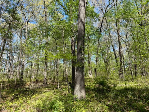 Photo of 4115 E Olive Branch Road, Bloomfield, IN