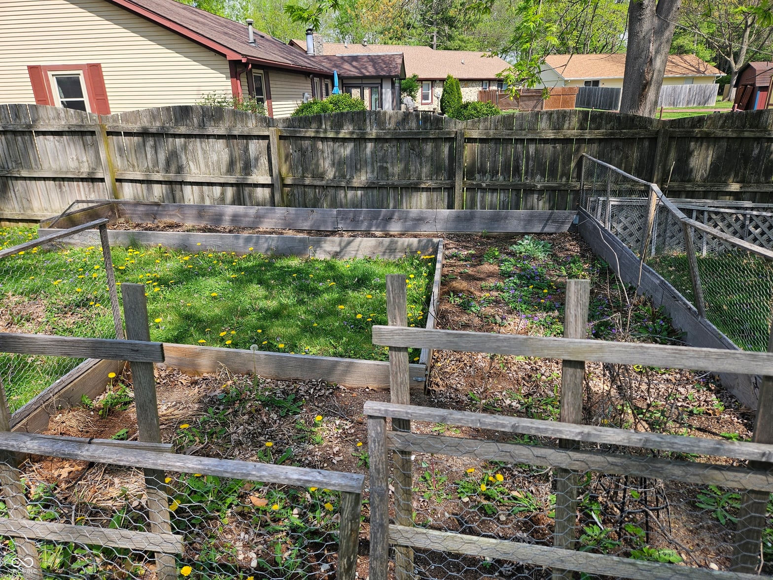 Yard