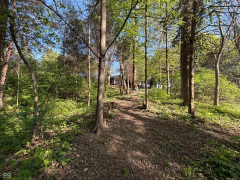 Yard at 12340 N Cedarwood Drive, Mooresville, IN