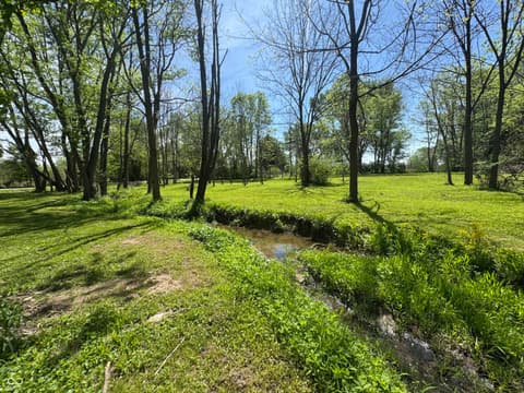Yard at 6842 N Gray Road, Mooresville, IN