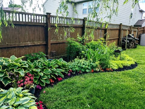 Yard at 4137 Hennessey Drive, Plainfield, IN
