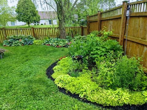 Yard at 4137 Hennessey Drive, Plainfield, IN