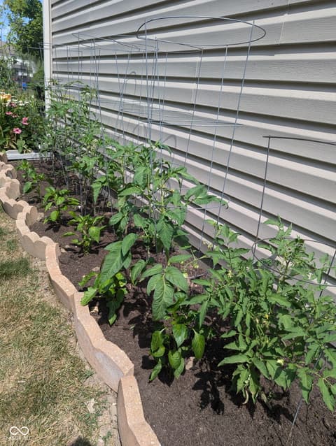Yard at 4137 Hennessey Drive, Plainfield, IN