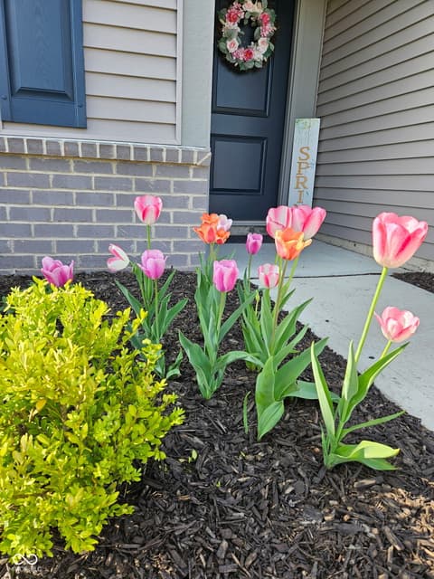 Garden — 1229 Fleming Drive, Greenfield, IN
