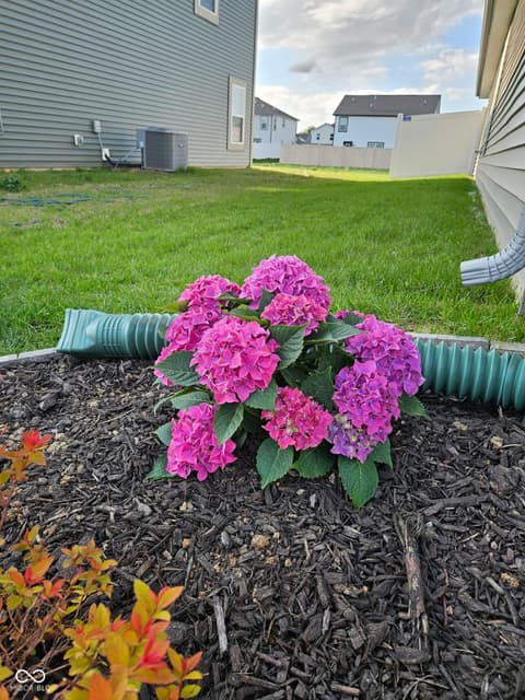 Garden — 1229 Fleming Drive, Greenfield, IN