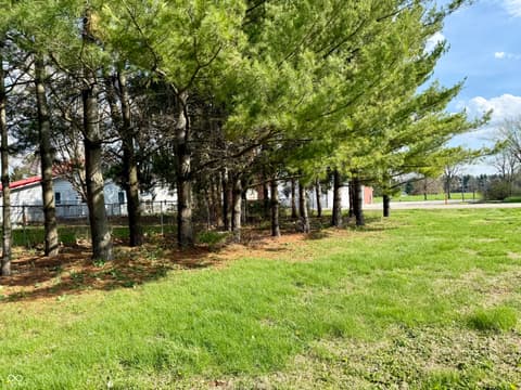 Photo of 1323 Roush Street, Young America, IN