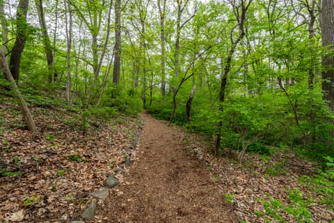 Photo of 402 Kessler Boulevard West Drive, Indianapolis, IN