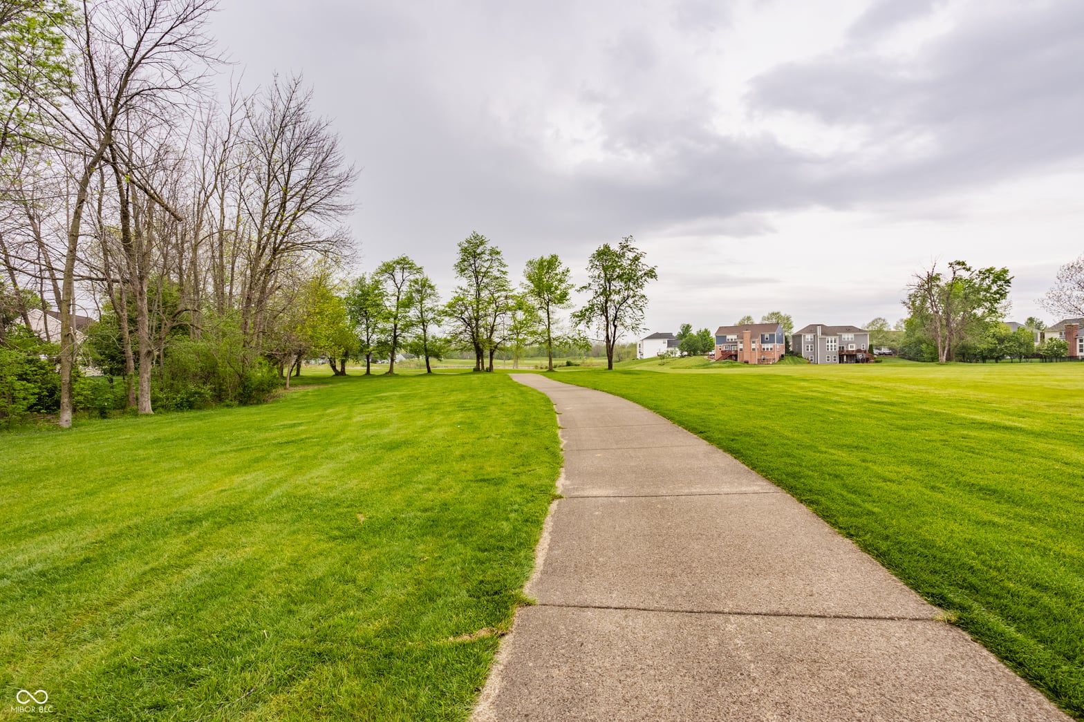Photo 53