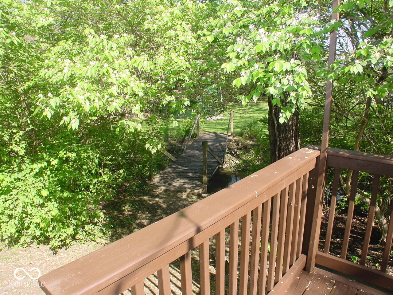 Photo 49