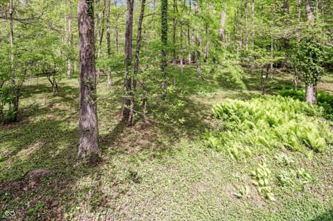Photo of 9202 Fanchon Drive, Zionsville, IN
