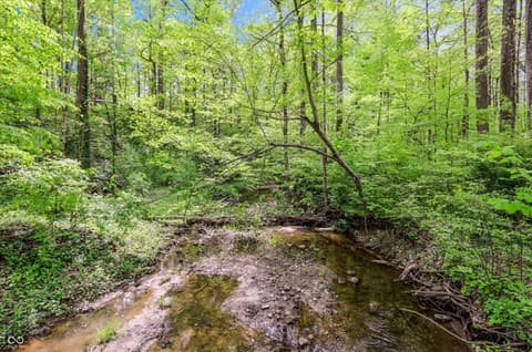 Photo of 9202 Fanchon Drive, Zionsville, IN