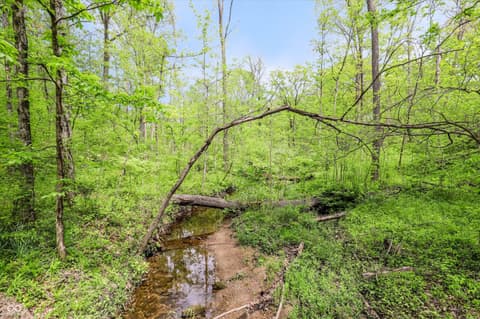 Photo of 9202 Fanchon Drive, Zionsville, IN